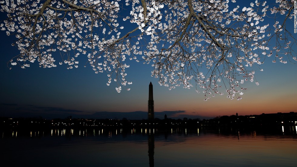 Cherry blossoms bloom in Washington on Monday, April 8. A colder-than-normal March and chilly April delayed the beginning of the cherry blossom season. Peak bloom was originally predicted between March 26 and March 30. 