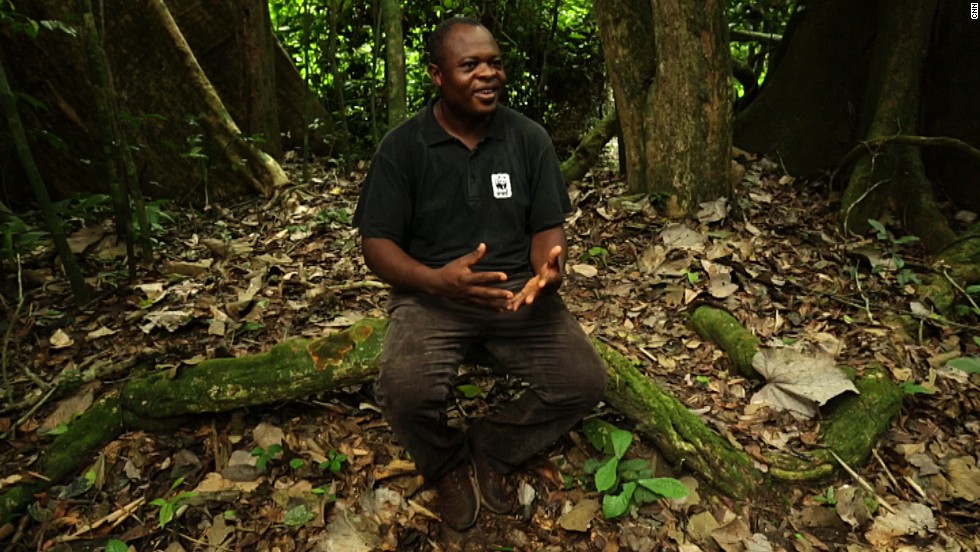 Conservation group WWF project manager Zacharie Nzooh says the elephant stands a chance so long as the crackdown on ivory markets continues.