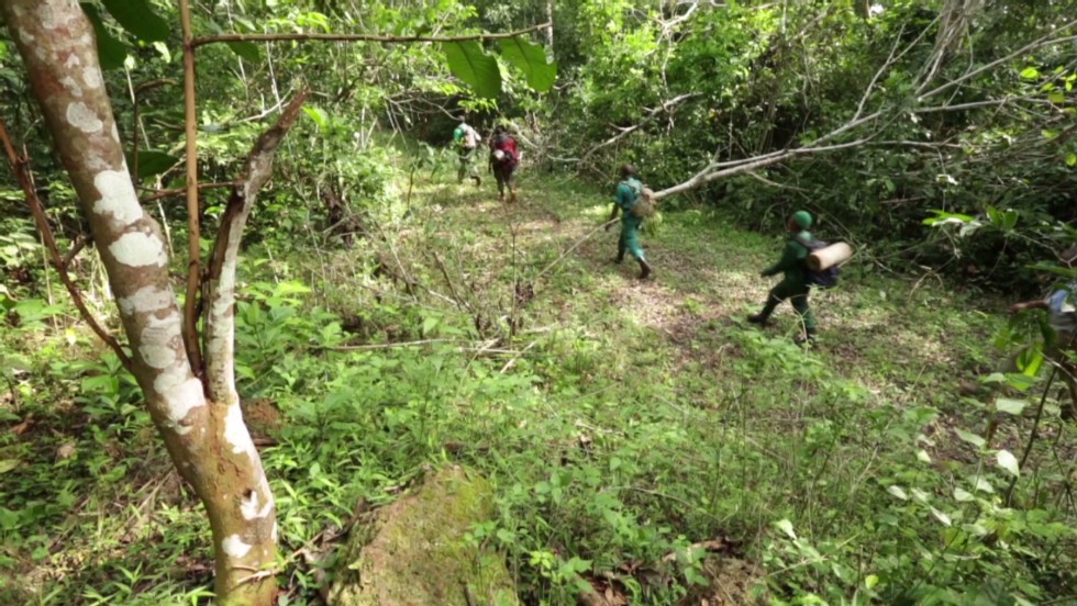 Environmentalists and park rangers patrol Cameroon&#39;s Lobeke National Park as part of efforts to deter poaching and arrest illegal hunters.