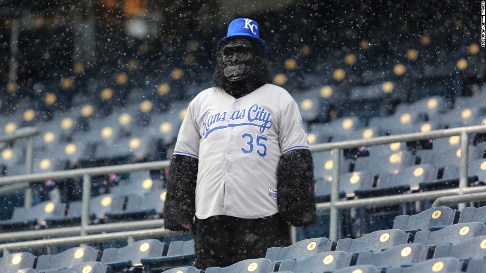 A lone fan watches snow fall during a delay in play between the Tampa Bay Rays and the Kansas City Royals at Kauffman Stadium in Kansas City, Missouri, on Thursday, May 2. The game was postponed because of the weather. 