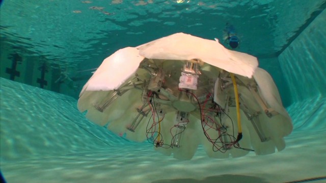 Robotic jellyfish may be underwater spy