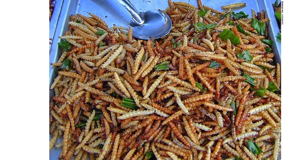 Image result for eating insects in thailand