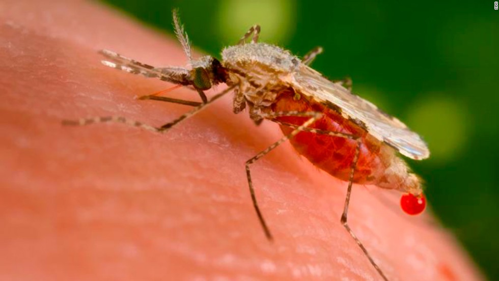 &lt;strong&gt;Malaria at its deadliest:&lt;/strong&gt; Malaria-infected mosquitoes killed an estimated 660,000 people in 2010. &lt;a href=&quot;http://www.cnn.com/changethelist&quot;&gt;Vote here.&lt;/a&gt;
