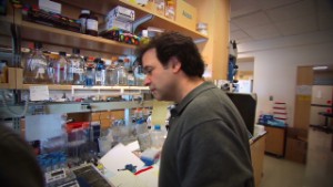 Alzheimer&#39;s researcher talks about his life&#39;s work