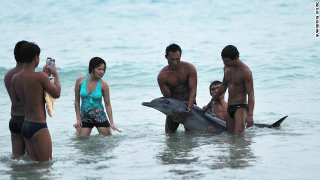 Chinese netizens are outraged as photos surface of tourists posing with a dying dolphin in Hainan.
