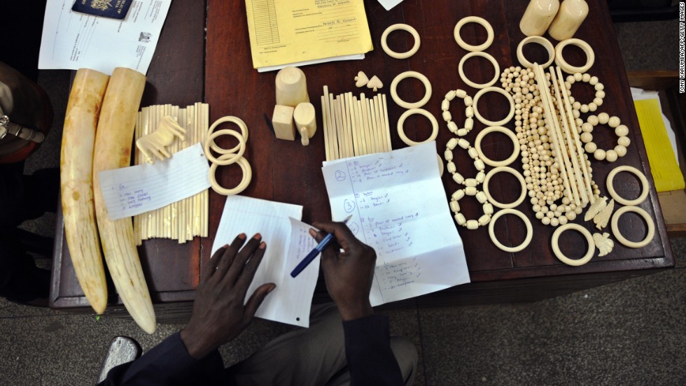 In the documentary the directors were able to reveal the destination of a large amount of African ivory. Pictured: a police officer documents illegal ornaments and tusks found in the possession of Chinese nationals in Nairobi, Kenya, in January 2013.