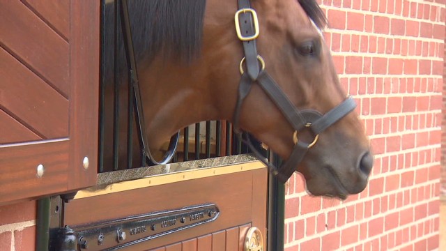 Frankel: Super freak to super stud?