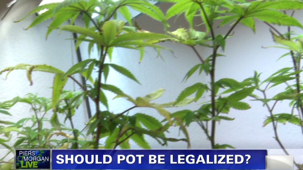 Opinion Americans Agree Pots No Crime Cnn 2442