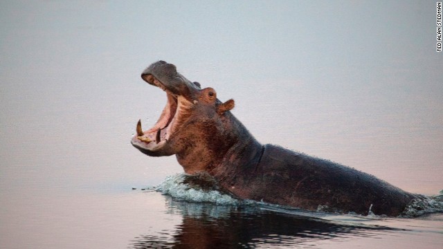 Namibia -- a wildlife photographer&#39;s paradise