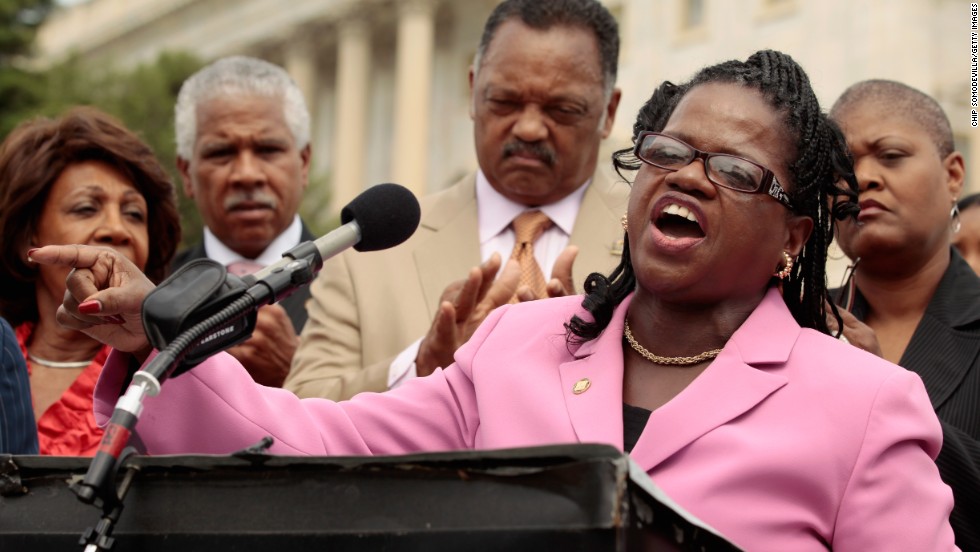Lawyers&#39; Committee for Civil Rights Under Law Executive Director Barbara Arnwine speaks during a news conference to voice opposition to state photo ID voter laws with the Rev. Jesse Jackson and members of Congress at the U.S. Capitol July 13, 2011.