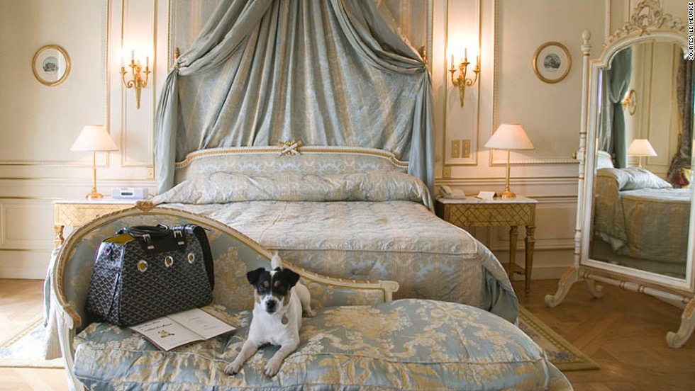 12 Of The World S Dog Friendliest Hotels Cnn Travel