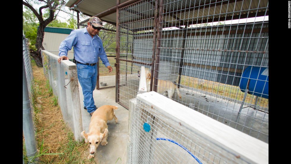 Despite being dozens of miles away from the border, ranchers near Falfurrias, Texas, must secure their property from those crossing the border illegally.  Here, Isaias Marquez cares for the dogs that patrol El Tule Ranch, where he works. 