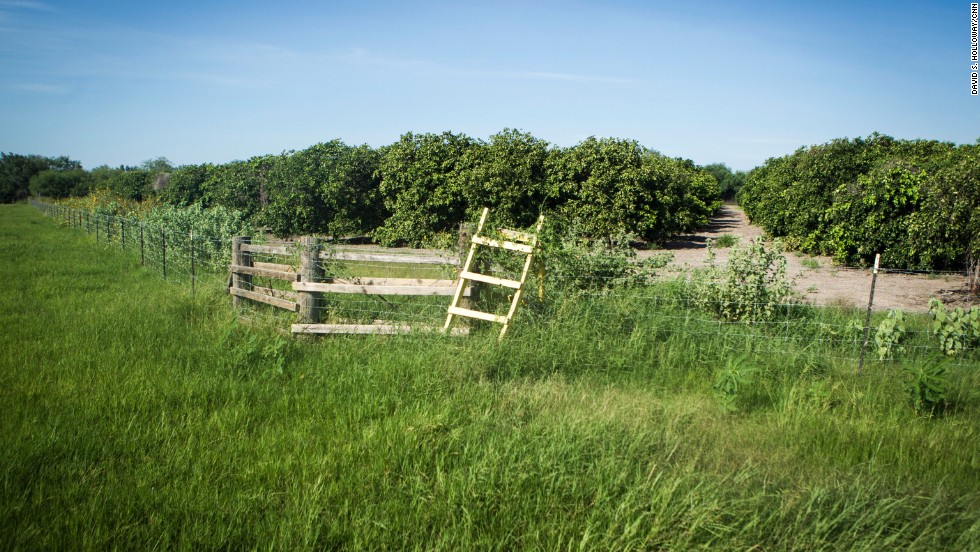 Ranchers and farmers often build ladders over their fences in hopes that migrants won&#39;t damage the fences when crossing. 
