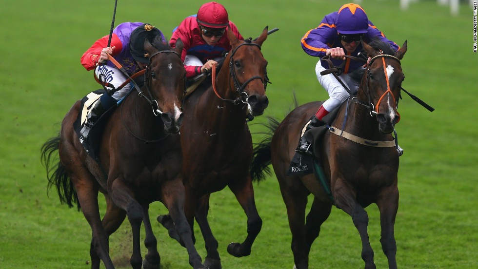 Estimate&#39;s Gold Cup win was the first for a British monarch in the race&#39;s 207-year history. 