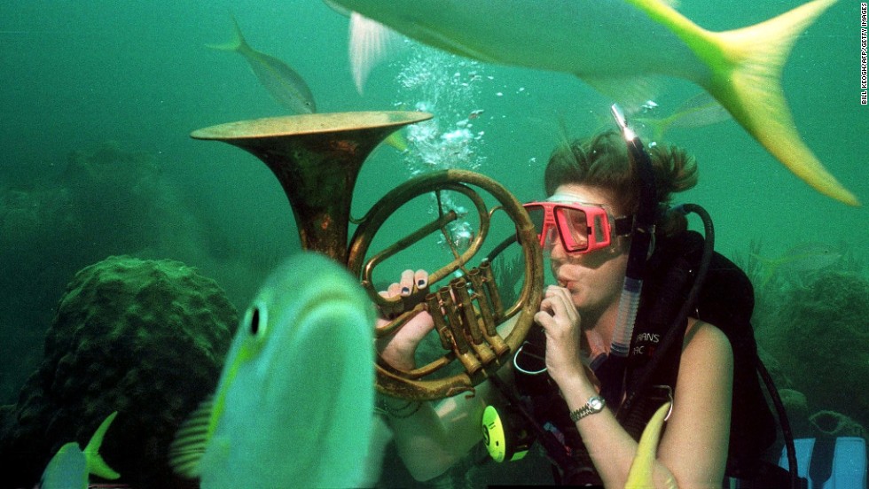 Swim with the fishes or sing with the fishes? Participants in the Underwater Music Festival in Crystal Beach, Florida play music while snorkeling.