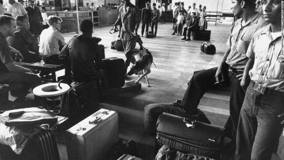Police dogs trained to smell out hidden marijuana examine U.S. soldiers&#39; luggage at the airport during the Vietnam War in 1969. Drug use was widespread during the war.