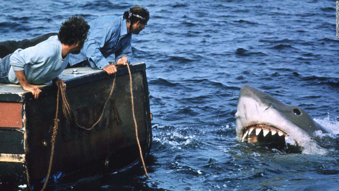 21 Random Facts About Jaws CNN