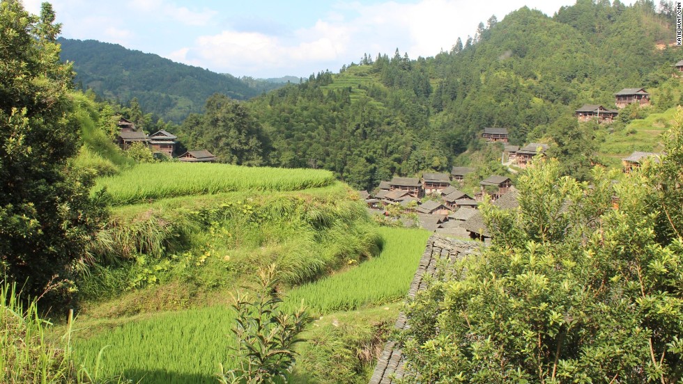 Like most of southern China, rice is a staple crop. Grown on terraced paddy fields that surround Dali, three mu, equivalent to about half an acre, can feed a household.