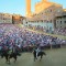 siena horse festival