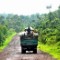 congo forest truck