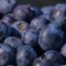 blueberries memory upwave
