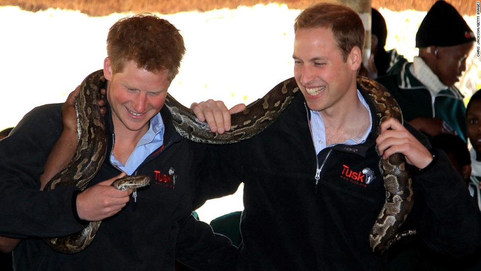 Prince Harry, left, and Prince William hold an African rock python during a visit to Mokolodi Education Centre in Gaborone, Botswana, on June 15, 2010. 