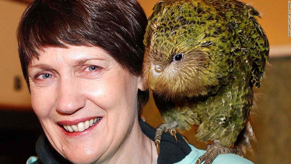 On the right you&#39;ll notice a somewhat ugly bird named the kakapo, a critically endangered parrot. It&#39;s the only flightless parrot in the world and has very muscular thighs, according to the British Science Association. On the left is former New Zealand Prime Minister Helen Clark.  