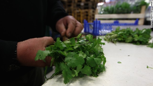 Because cilantro isn&#39;t an essential crop, using it as a purifier won&#39;t take away from people&#39;s food needs in Mexico.