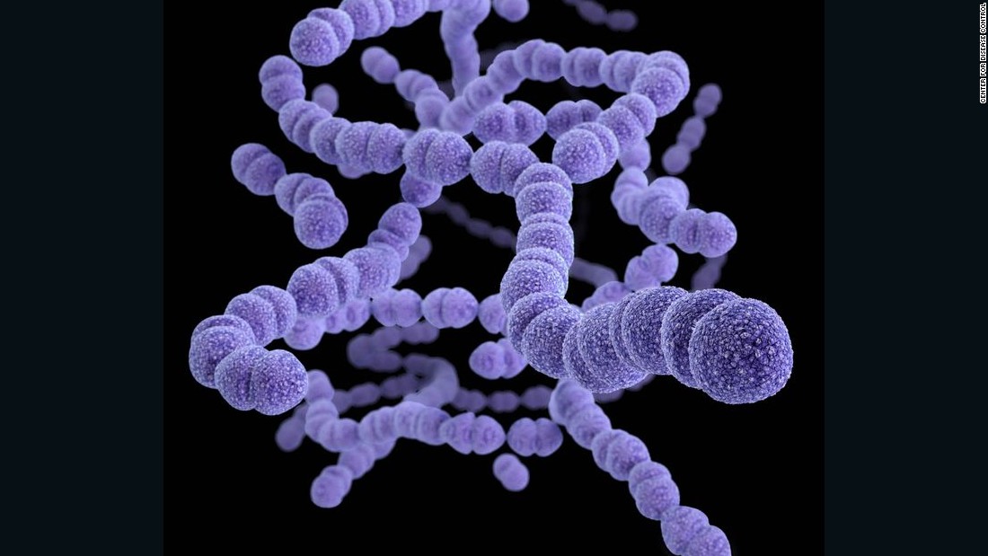 Bacteri Bacteria And Streptococcus