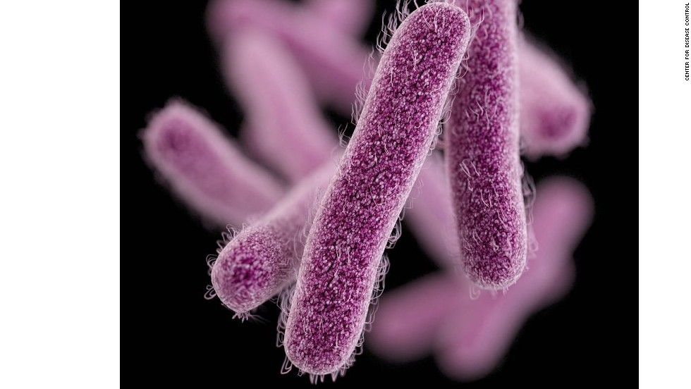 Drug-resistant shigella