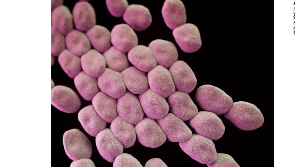 Drug-resistant Acinetobacter