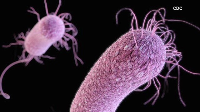 what antibiotics kill parasites