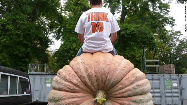 For five months, Scott Armstrong tended to the pumpkin in his backyard. His prize: $500, a plaque, a blue ribbon, and a trophy. 