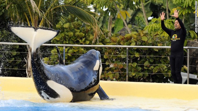Lawsuit: SeaWorld Tried to Spin 'Blackfish' as Good for Business