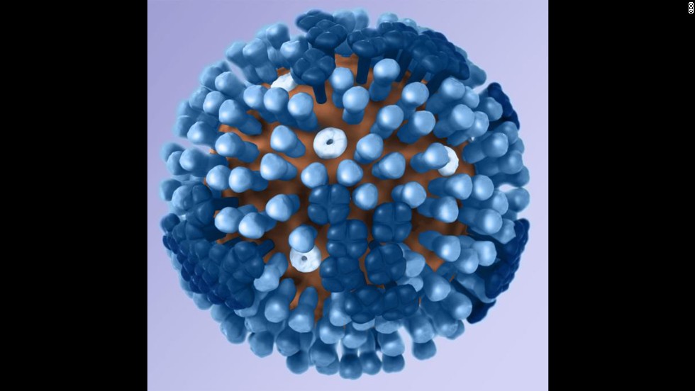 This illustration from the CDC is a 3-D graphical representation of an influenza virion&#39;s structure. Influenza viruses are members of the &lt;a href=&quot;http://www.britannica.com/EBchecked/topic/433517/orthomyxovirus&quot; target=&quot;_blank&quot;&gt;Orthomyxoviridae family&lt;/a&gt;, according to Encyclopedia Britannica, meaning their virions measure between 80 and 120 nanometers in diameter. Each virion contains hemagglutinin and neuraminidase &lt;a href=&quot;http://www.nlm.nih.gov/medlineplus/ency/article/002224.htm&quot; target=&quot;_blank&quot;&gt;antigens&lt;/a&gt;, substances that cause our bodies to produce antibodies. The amount of each antigen determines the strain of the virus, which is where the H#N# naming structure comes from. 