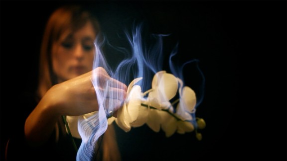 This is not a burning bush, but rather a plant that is happy to be caressed. Scientists and developers at Walt Disney Research in Pittsburgh have come up with Botanicus Interacticus, which, in combination with the research team's sensing technology Touché, can turn any plant into a musical instrument, game controller, light switch and more. 