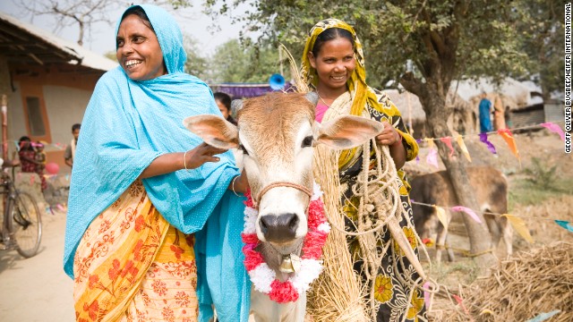 Sabina Begam (left) passes on the gift of a heifer to Malati Hassada in Holdibona, Bhashopada, Bangladesh