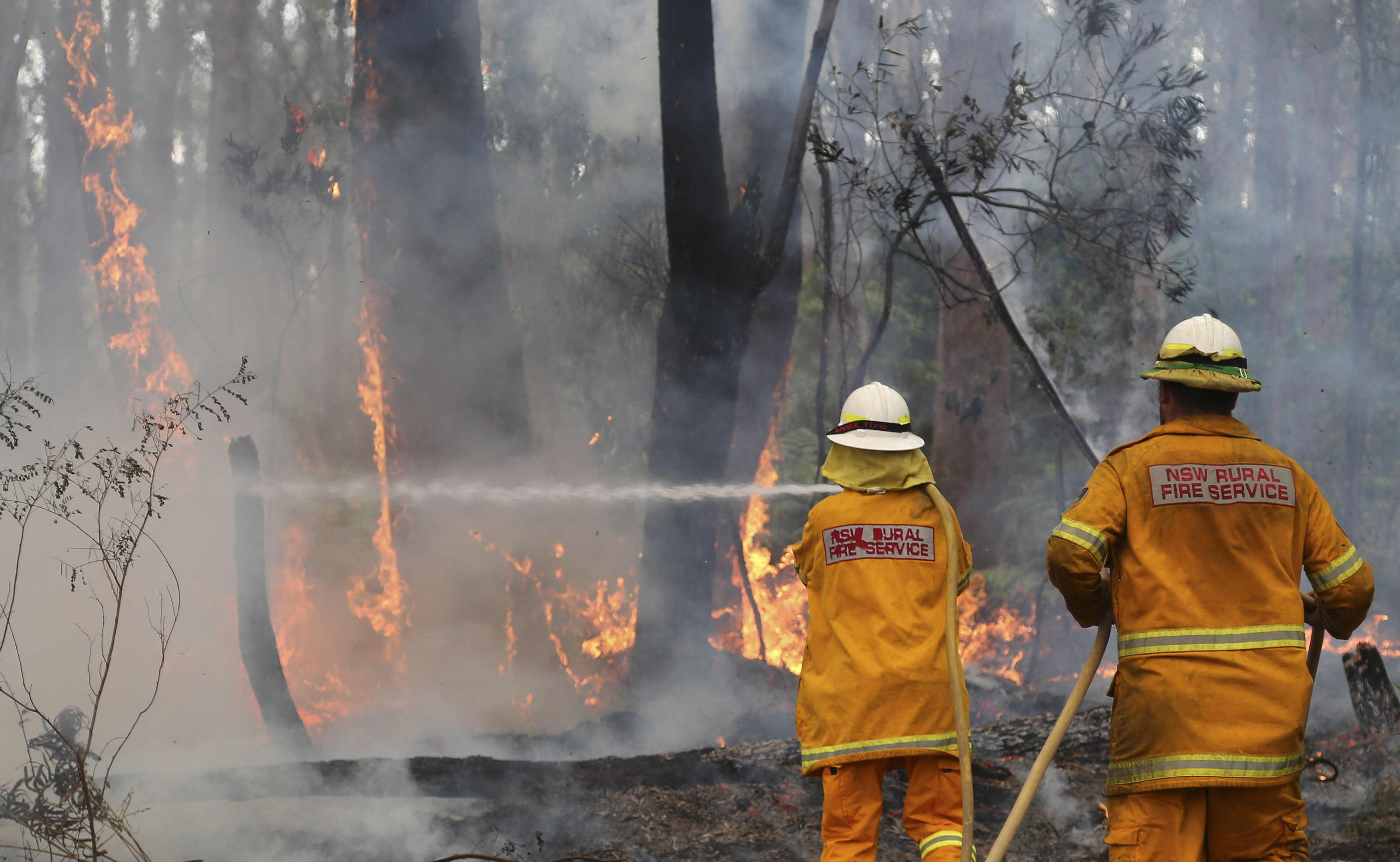 Australia S Most Populous State Braces For Worst Day Of Wildfires Cnn