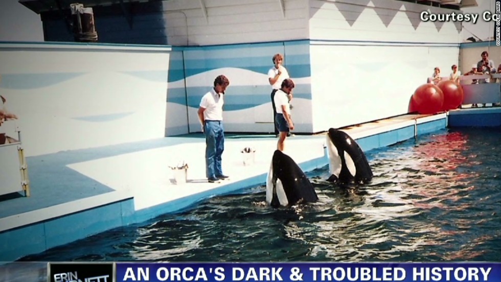 Orca Trainer Saw Best Of Keiko, Worst Of Tilikum - CNN