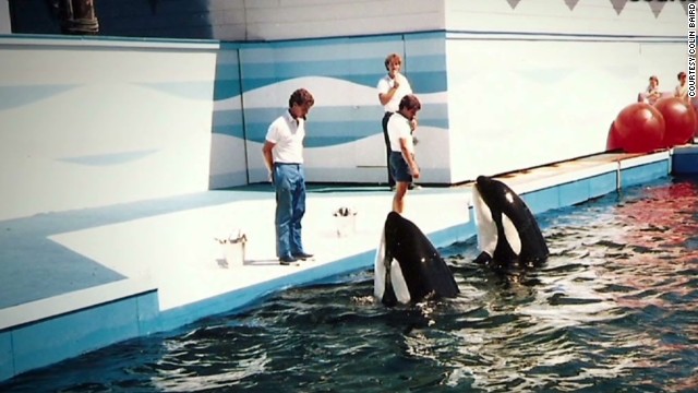 erin pkg savidge tilikum early years_00003813.jpg