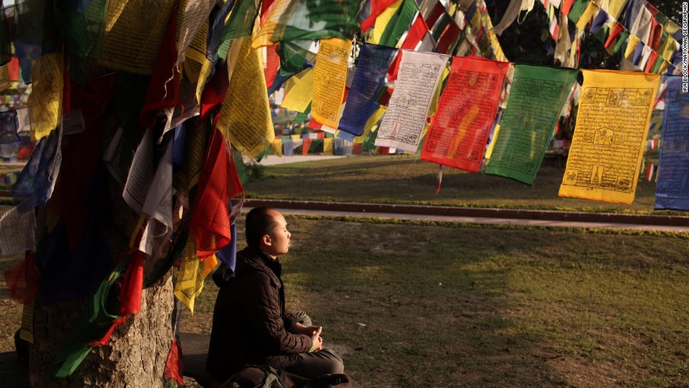 A pilgrim meditates at a sacred &quot;Bodhi tree&quot; at the Sacred Garden of Lumbini. More than a million pilgrims visit Lumbini each year.