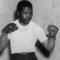 mandela boxer 1950