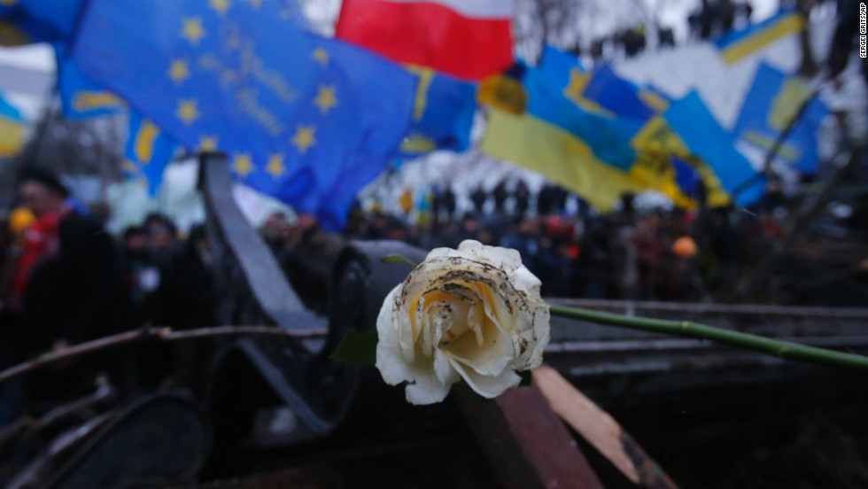 A rose, the symbol of the revolution, lies on barricades being built by Pro-EU activists next to the Ukrainian Government building in Kiev on December 8.
