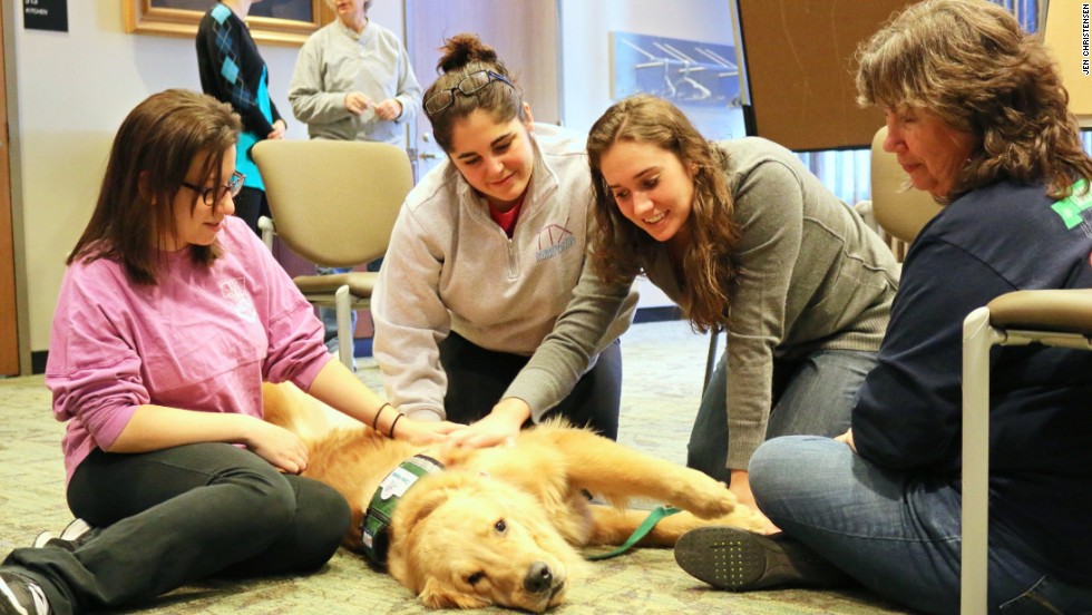 Therapy dogs help students across the country survive finals - CNN