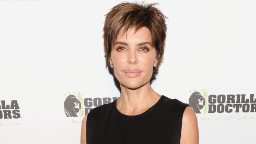 Actress Lisa Rinna is reprising her &quot;Days of Our Lives&quot; role on a specal limited series. 