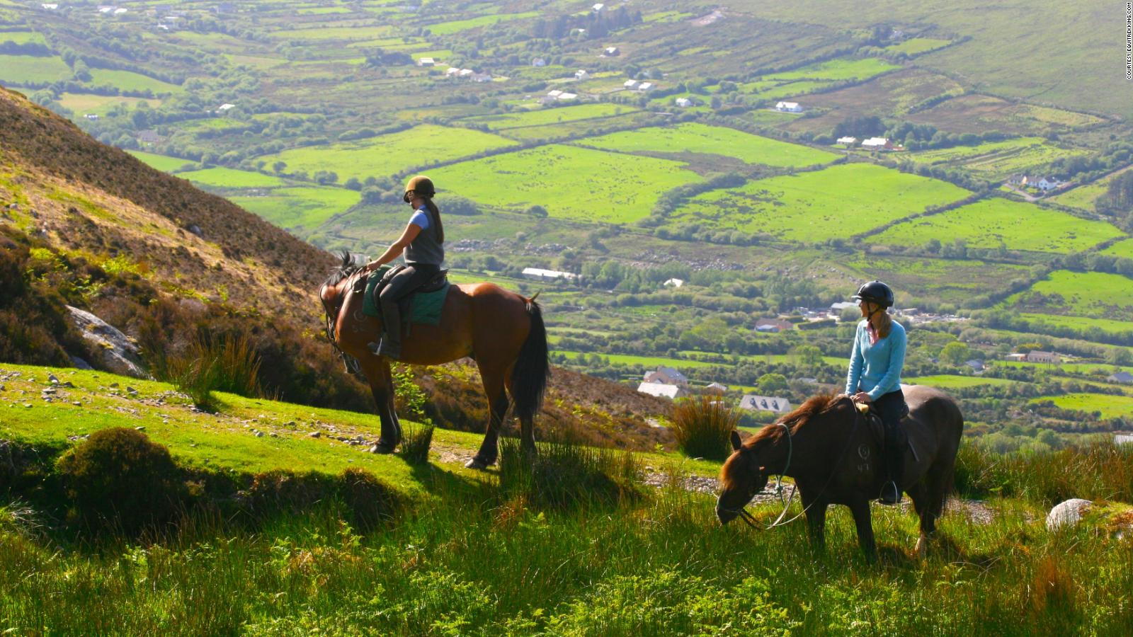 Ring Around The Horsey