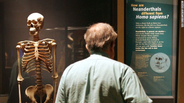 A man looks at an exhibit comparing modern humans to Neanderthals