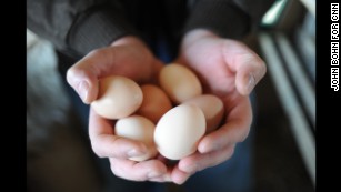 An egg a day might reduce your risk of heart disease, study says