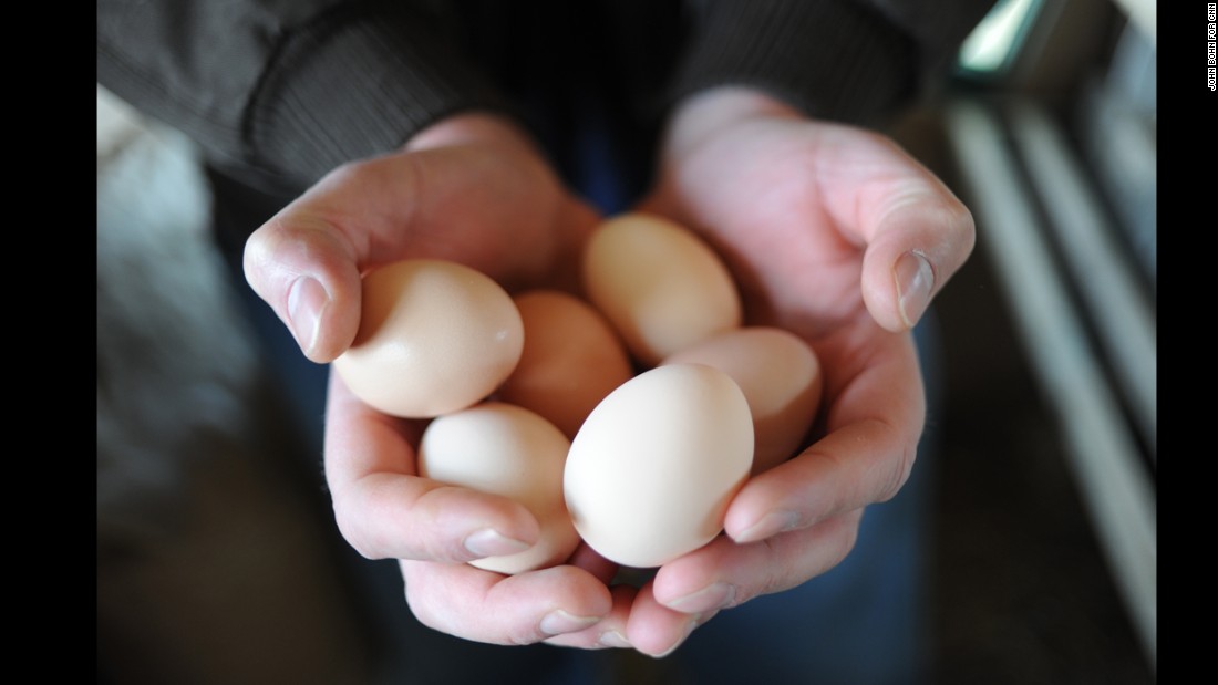 An egg a day might reduce your risk of heart disease, study says