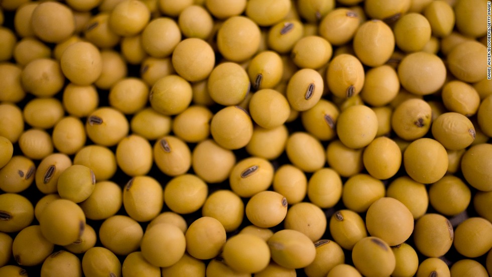 There is no consensus in the scientific community that GMOs are safe, &lt;a href=&quot;http://www.cnn.com/2014/02/03/opinion/schubert-gmo-labeling/&quot;&gt;says David Schubert at the Salk Institute for Biological Studies&lt;/a&gt;. Seen here are  soybean seeds from a Monsanto lab.  